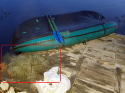 Камышинский район попал в браконьерскую сводку