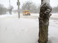 Камышин весь понедельник 15 января будет заметать метель, перепад температур между утром и вечером - 10 градусов