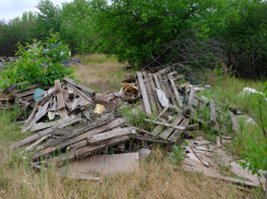 Надзорное ведомство «устало» перечислять, чем нерадивый собственник из Камышинского района захламил свои сельхозугодья
