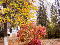 Солнце и резкое потепление обещают синоптики камышанам