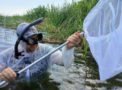 Что изучали будущие биоинженеры в природном парке Камышинского района