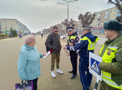 В Камышине сотрудники Госавтоинспекции вышли на центральные улицы города вживую проинструктировать пешеходов