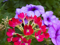 Конец рабочей недели для камышан выпадает теплым - перед прохладными дождливыми выходными