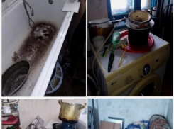 30-летняя мамаша-хулиганка из Камышина истязала дочь-пятиклассницу шнуром