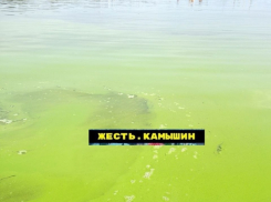 В Михайловке власти закрыли купальный сезон, а в Камышине он может и сам закрыться из-за цветущих рек