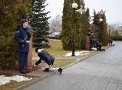 В Камышине благодарная память горожан, цветы и гирлянды согрели памятники Героям