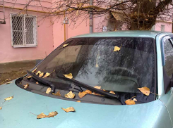 Рабочая неделя завершится в Камышине мокрым снегом с дождем