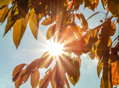 Столбик термометра вновь подберётся к 17 градусам на грядущей неделе в Камышине 