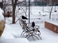 Камышанам советуют пересидеть дома аномальные морозы 13-14 января 