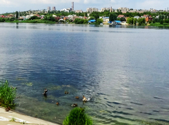Где в Камышине отключат свет и горячую воду сегодня, 10 июля