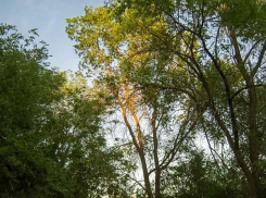 «Блокноту Камышина» стали известны некоторые детали о 36-м умершем от COVID пациенте в Волгоградской области