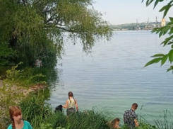 В Камышине волонтеры упорно продолжают очищать берег Камышинки, а мусора меньше не становится