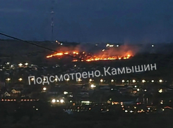 В Камышине очевидцы сняли ландшафтный пожар на подступах к телевышке
