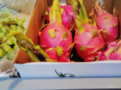 Перед 8 Марта в камышинских магазинах покупателям подбросили экзотики на десерт