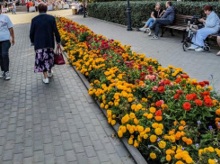 В Камышине явка в первый день голосования превысила среднеобластной показатель