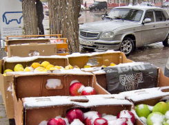 Осадки в виде мокрого дождя со снегом заготовила природа камышанам на 17 ноября