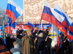 Единый фонд пожертвований на СВО создадут в Волгоградской области, добровольцами на Донбасс записались 1300 человек