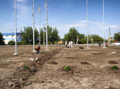 В Камышине службы благоустройства нацелились на «зимнюю» клумбу?