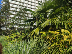 Поездки на отдых начали дорожать сильнее продуктов в Волгоградской области