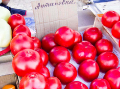 Что для камышан подорожало в борщевом наборе этого лета, а что подешевело