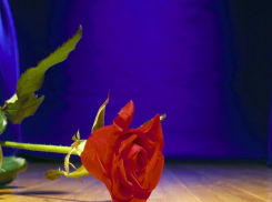 Где взять мужа,  или Очередной успех режиссера Александра Штендлера