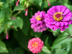 Погодная повестка для Камышина: воздух раскаляется, геомагнитный фон тоже