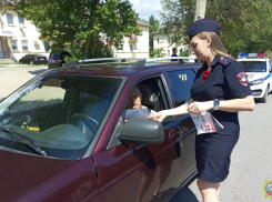 В Камышине госавтоинспекторы вышли на улицы пообщаться с водителями в жаркий день
