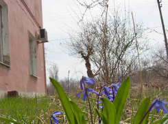 В Камышине по улице Кирова шла женщина, а потом упала и умерла