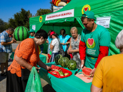 Администрация Камышина сообщила, что вчерашний Арбузный фестиваль стал самым «обжористым»