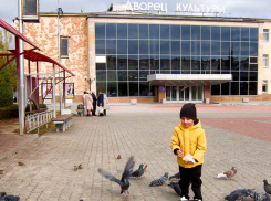 Ноябрь в Камышине начинается с солнечных, «весенних» дней