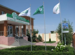 Стало известно, кого назначили конкурсным управляющим Камышинского кредитного потребительского кооператива «Честь»