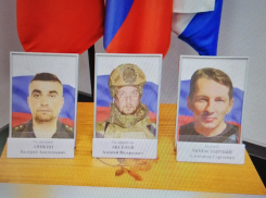 В Камышине передали награды родным погибших в СВО героев