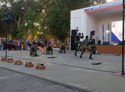 В Камышине в День города в парке Комсомольцев-добровольцев прошли показательные выступления военных (ВИДЕО)