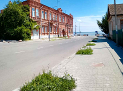 В Камышине улица Октябрьская, отлично подходящая для туристических маршрутов, печалит пустыми лунками и зарослями сорняков