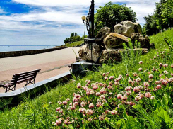 Администрация Камышина издала постановление о сборе и хранении отработанных ламп, содержащих ртуть 