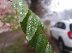Туман и сильная магнитная буря будут «сопровождать» камышан сегодня, 28 ноября (ВИДЕО)