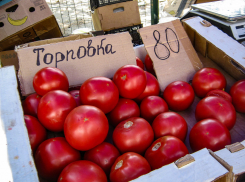 Цены на помидоры в Камышине никак «не хотят» падать ниже 80 рублей