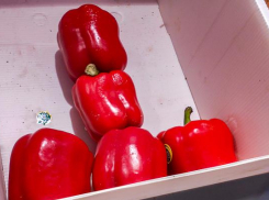 Самым дорогим овощем на камышинских прилавках стал в конце зимы сладкий перец