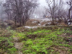 Шквал и переход от «плюса» к «минусу»: погодная повестка на 28 декабря в Камышине