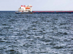 Ветер с юго-востока «нагонит» жару и новый геомагнитный шторм в Камышине