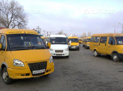 В Камышине  Госавтоинспекция проверяет маршрутчиков  