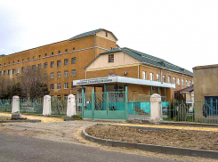 Зампредседателя Облздрава Марина Гаврилова засекретила результаты разбирательства по жалобе камышанки под предлогом защиты прав ребенка 