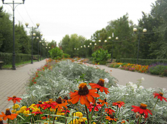 В Камышине в городском парке пройдет акция в поддержку спецоперации