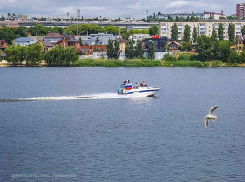 Стало известно, кого выдвигают жириновцы для участия в выборном марафоне за получение двух мест в Камышинской городской думе