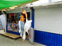 Определенную категорию камышинских предпринимателей освободят от страховых взносов: какую именно, когда и как? - «Блокнот Волгограда»