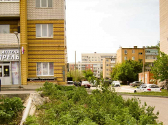 Жители пятого микрорайона Камышина обнаружили в своей многоэтажке неизвестного зверя (ВИДЕО)