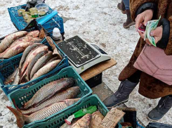 В Волгоградской области подорожали яйца, помидоры, рыба и анальгин