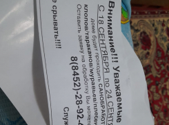 Камышане с подозрением отнеслись к агитации их за массовое уничтожение клопов, тараканов и вирусов