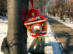 Крепкий мороз удержится в Камышине 9 февраля при северо-западном ветре и высоком давлении