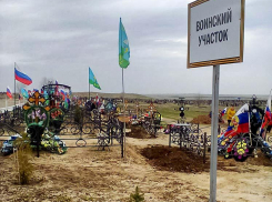 Подобрали растения, символизирующие стойкость: мама погибшего в СВО героя-камышанина рассказала об озеленении воинского участка 